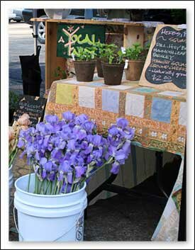 Watauga County Farmers Market in North Carolina