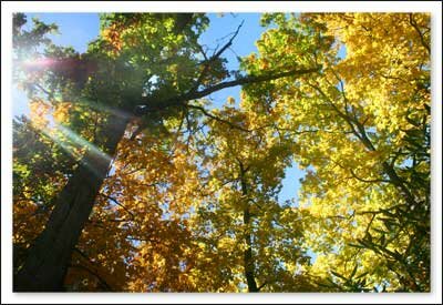 Apple Festival 2010 in Boone NC