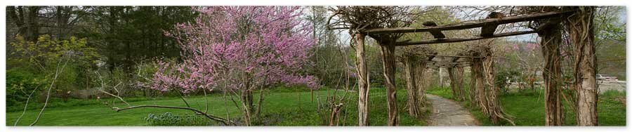 Daniel Boone Gardens April 2010