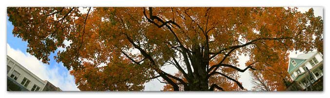 2009 Fall Colors in Downtown Boone NC