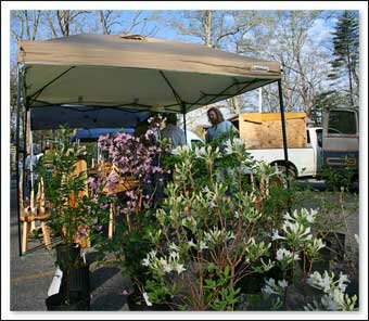 Watauga County Farmers Market in North Carolina