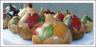 Watauga County Farmers Market in North Carolina