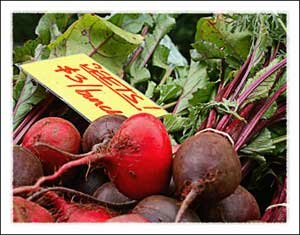 Watauga County Farmers Market in North Carolina