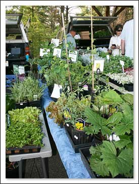 Watauga County Farmers Market in North Carolina