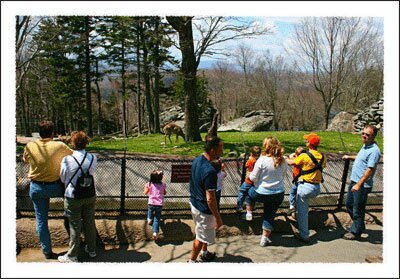 Grandfather Mountain in Linnville NC in the Boone North Carolina Mountains
