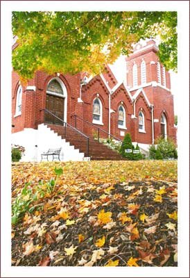 Fall Leaves in Boone North Carolina