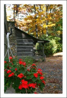 Hickory Ridge Homestead Museum flowers in the Boone North Carolina Mountains