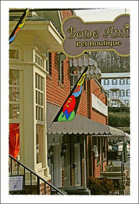 The Looking Glass Shop at the Blair Moore House in Jonesborough Tennessee near Boone North Carolina