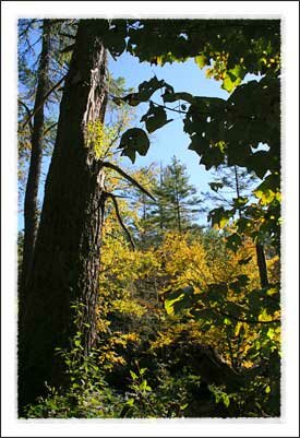 Linville Falls on the Blue Ridge Parkway near Boone North Carolina