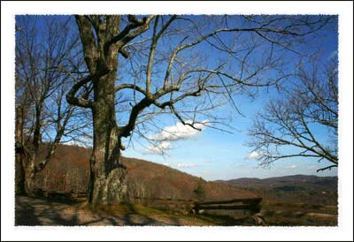 View from the Moses Cone Mansion on the Blue Ridge Parkway near Boone North Carolina