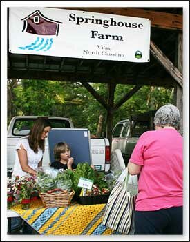 Springhouse Farm in Vilas North Carolina