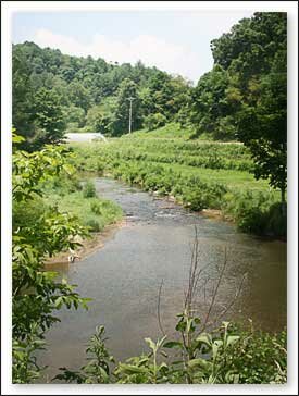 Zydeco Moon Farm in Grassy Creek NC